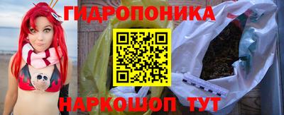 индика Кунгур