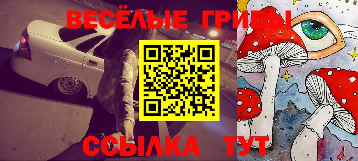 Коломна  Галлюциногенные грибы мицелий  Псилоцибиновые грибы GOLDEN TEACHER  Вход с VPN 